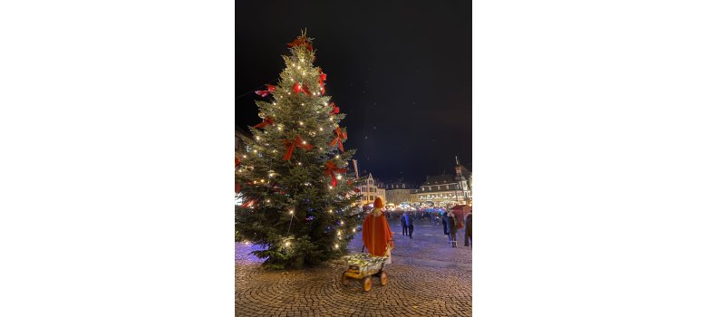 Geschmückter Weihnachtsbaum auf dem Marktplatz