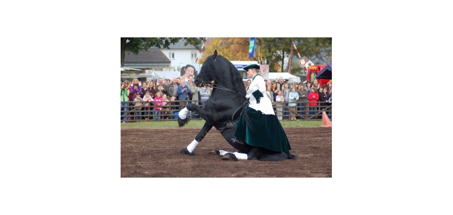 Frau auf einem Pferd