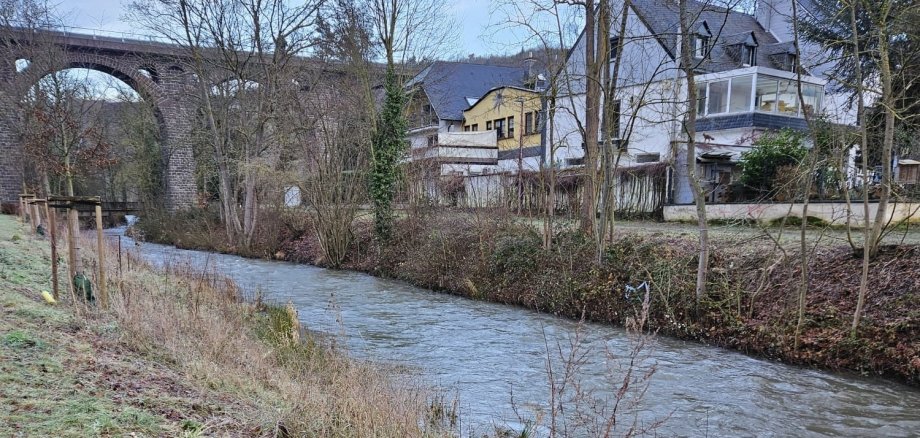 Aktueller Pegel der Nette im Bereich der Bürresheimer Straße am Mittwochmorgen 